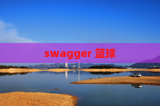 swagger 篮球 swagger 篮球